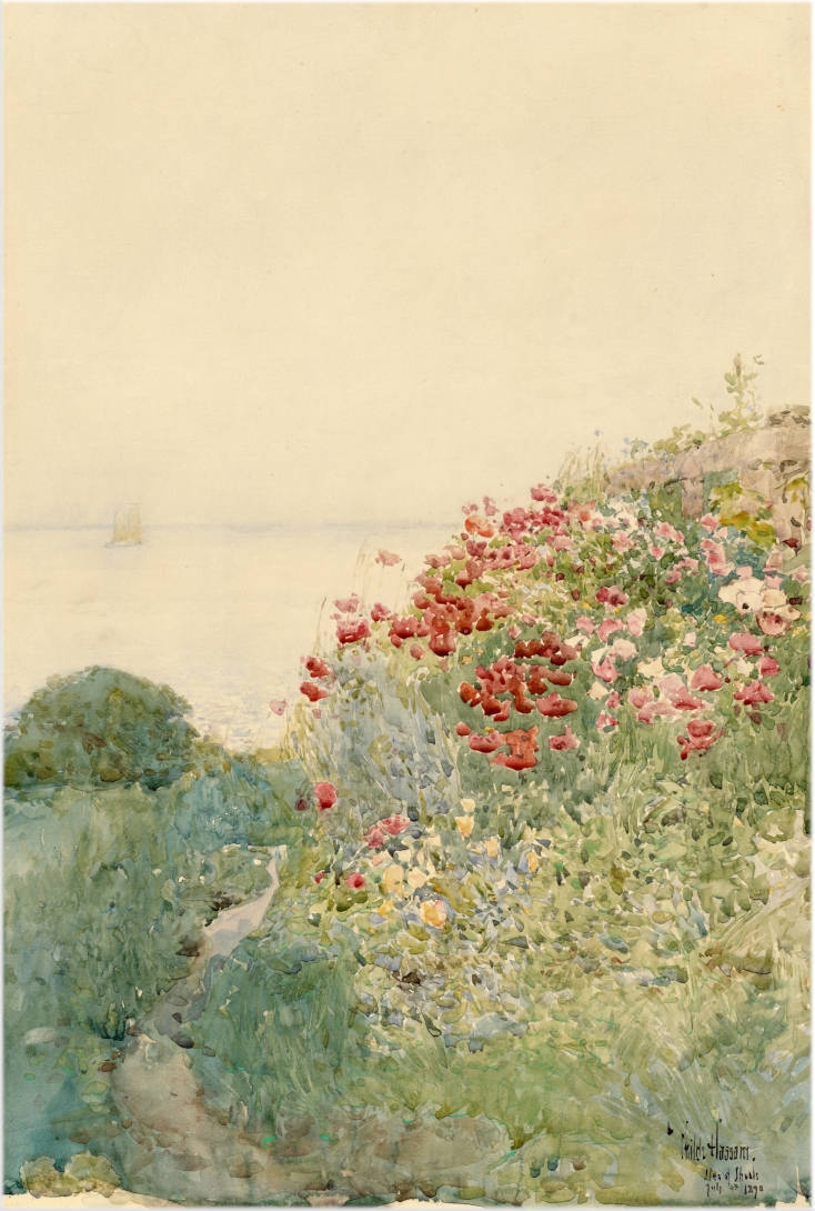 field-of-poppies-isles-of-shoals