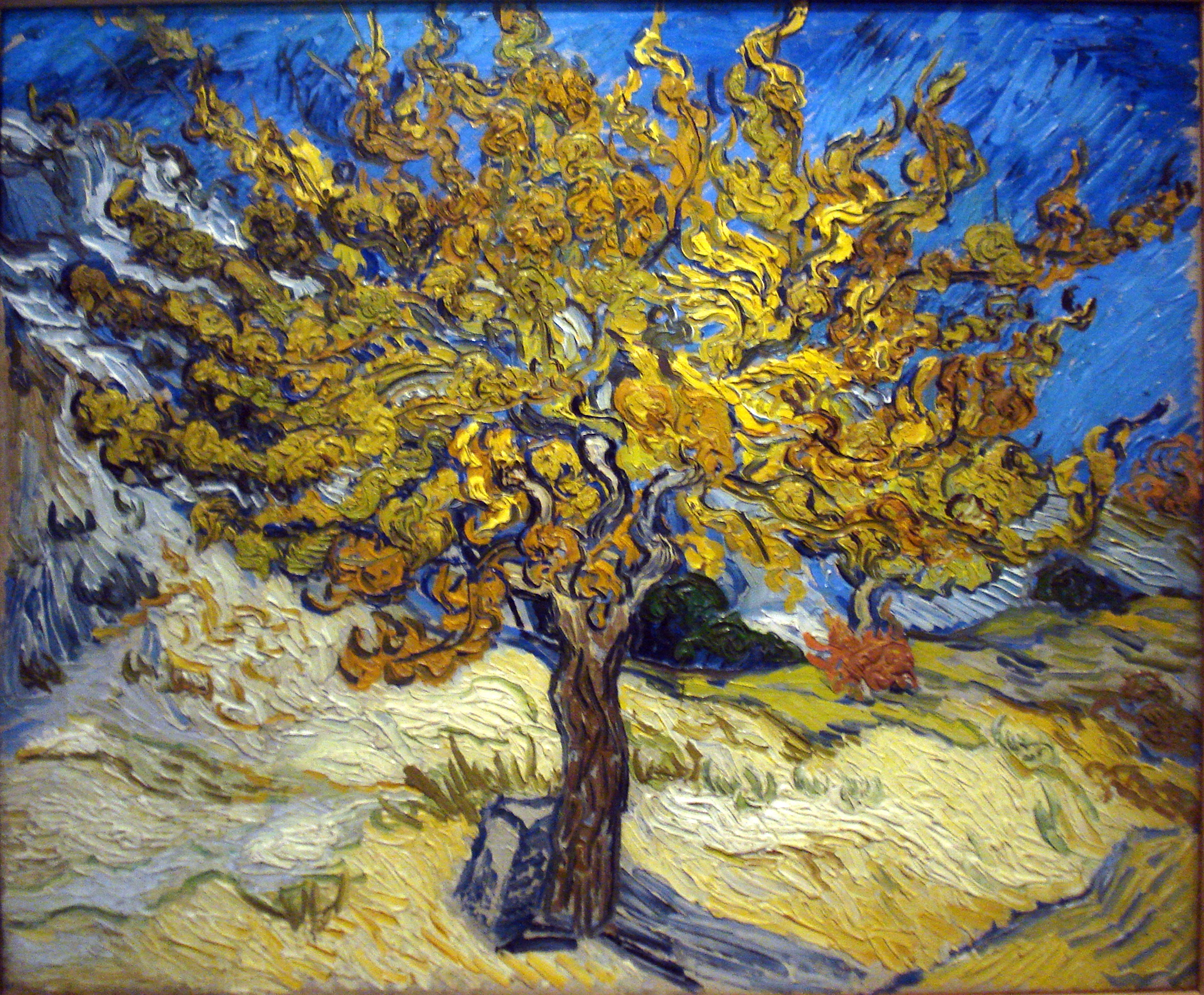 the-mulberry-tree